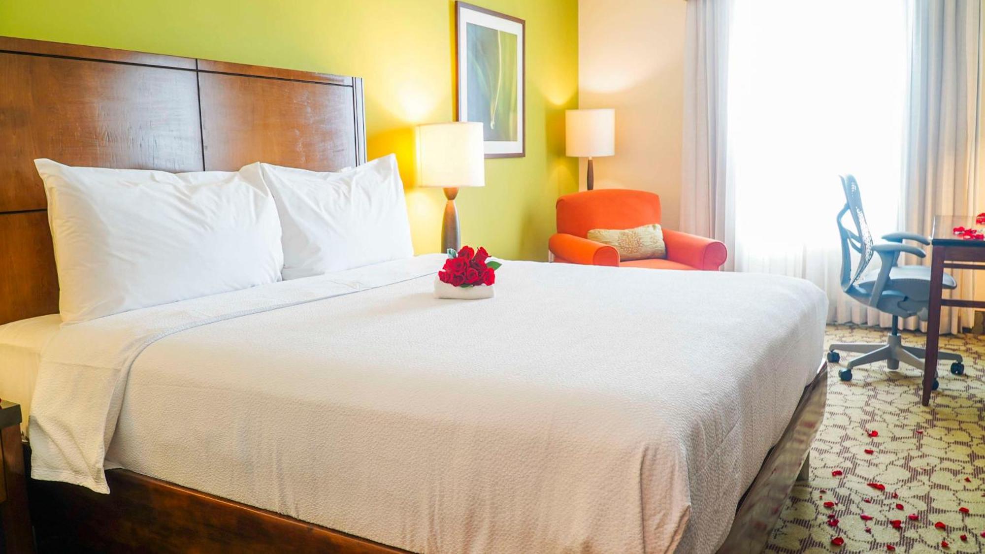 Hilton Garden Inn Panama City Downtown, Panama Luaran gambar